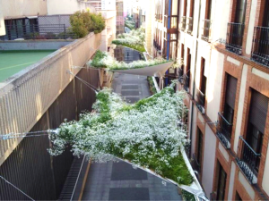 - Imagen 3 Toldos vegetales en calle Santa Maria en Valladolid